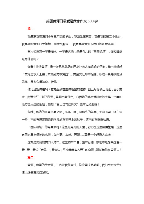 美丽黄河口最爱是我家作文500字