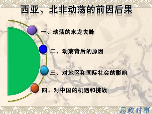 西亚、北非动荡的前因后果(1)