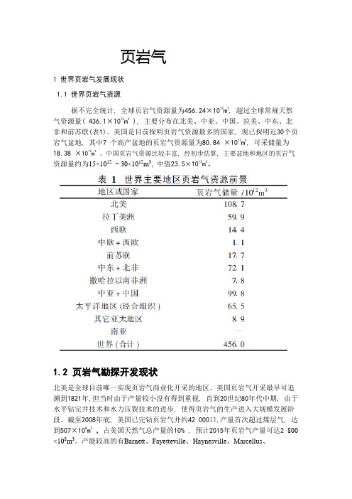 页岩气评价