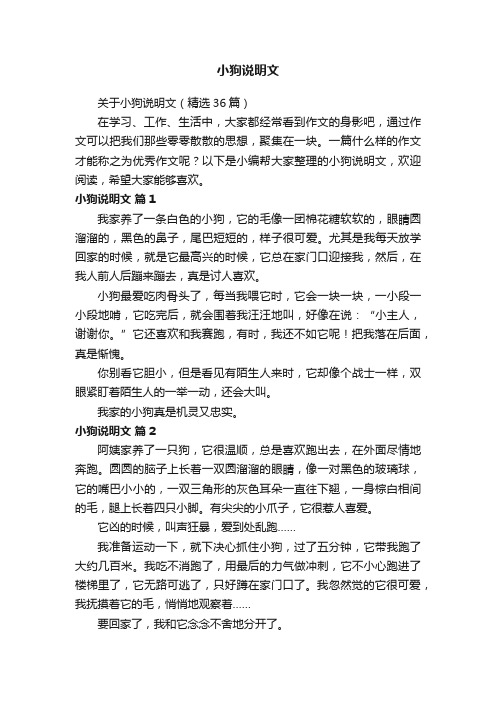 关于小狗说明文（精选36篇）