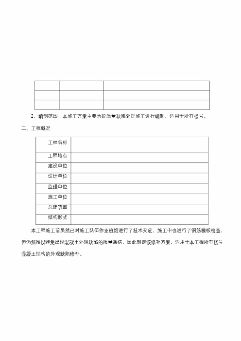 砼质量缺陷修补专项施工方案