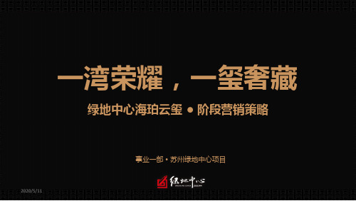 苏州吴江绿地中心海珀云玺精装大平层豪宅年度营销策略终稿71p资料