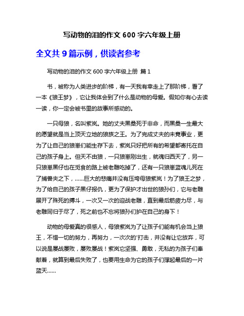 写动物的泪的作文600字六年级上册