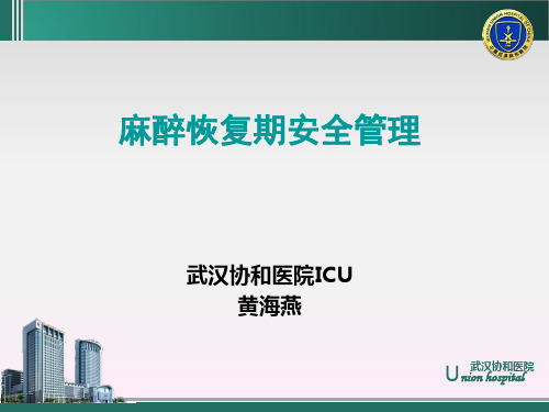 麻醉恢复期安全管理ppt课件