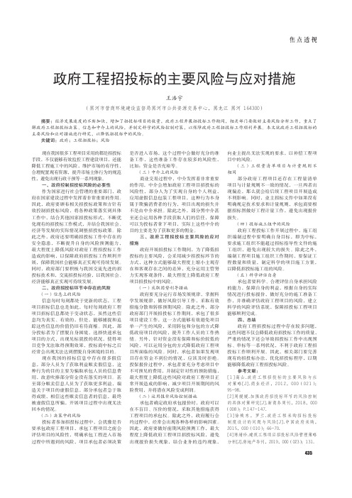 政府工程招投标的主要风险与应对措施