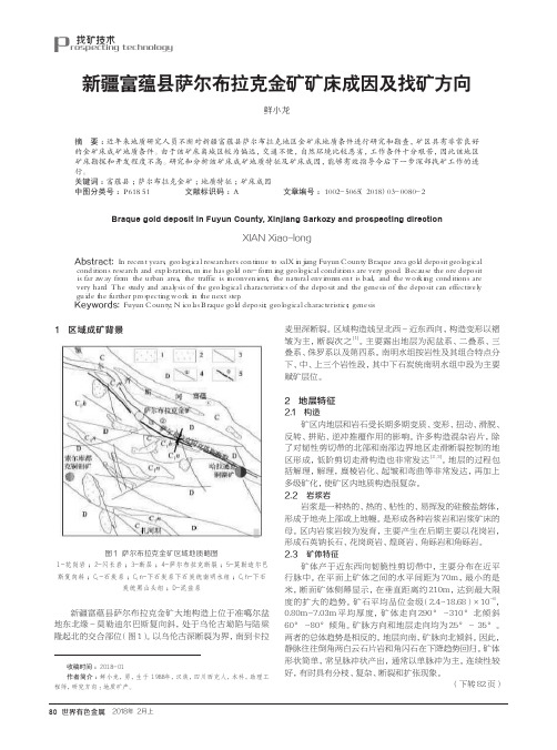 新疆富蕴县萨尔布拉克金矿矿床成因及找矿方向