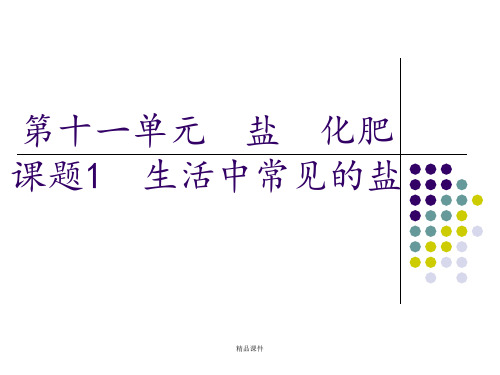 九年级化学第十一单元_盐_化肥_课题1_生活中常见的盐课件人教版