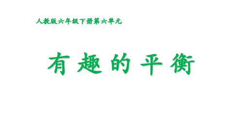 人教版六年级数学下册《整理和复习  综合应用  有趣的平衡》公开课课件_12