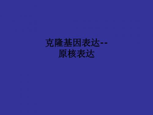 克隆基因表达--原核表达ppt课件