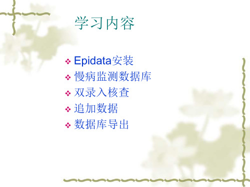 Epidata录入数据库