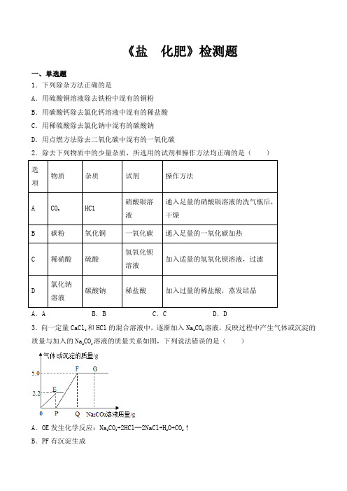 人教版初中化学九年级下册第十一单元《盐  化肥》检测题(含答案)