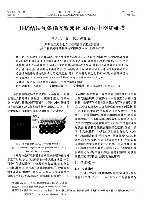 共烧结法制备梯度致密化Al2O3中空纤维膜