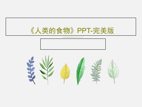 《人类的食物》PPT-完美版共34页PPT