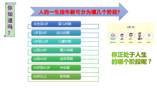 悄悄变化的我完美版ppt道德与法治课件2