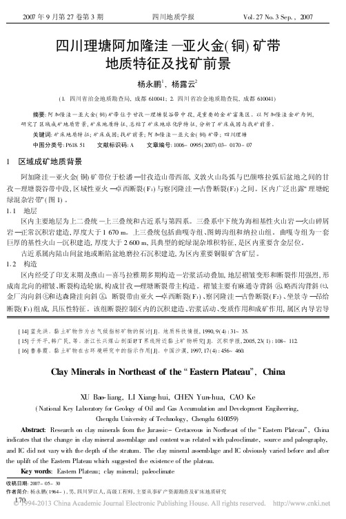 四川理塘阿加隆洼_亚火金_铜_矿带地质特征及找矿前景_杨永鹏