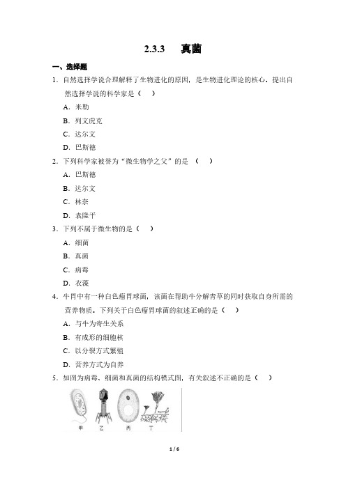 生物人教版(2024新教材)七年级初一上册2.3.3 真菌 课时练含答案(1)