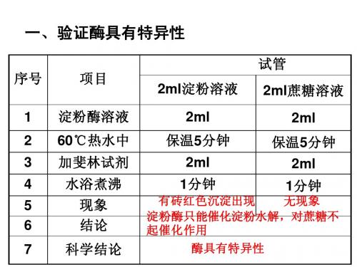 关于酶的四个实验