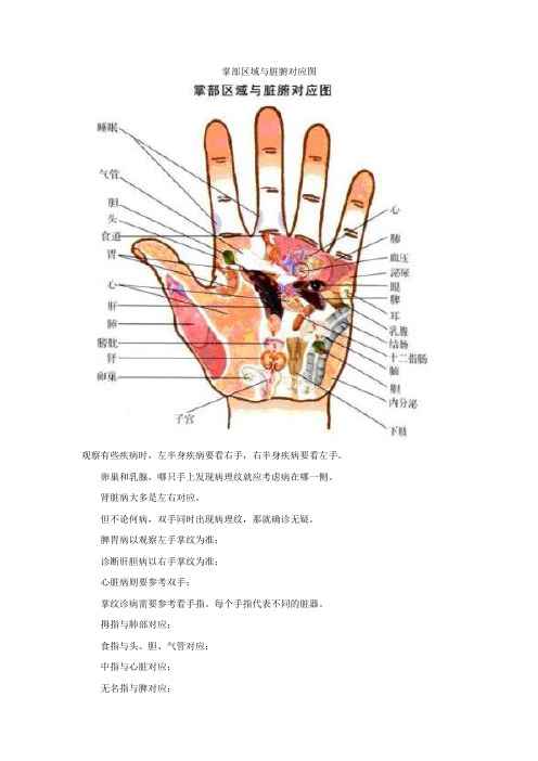 掌部区域与脏腑对应图