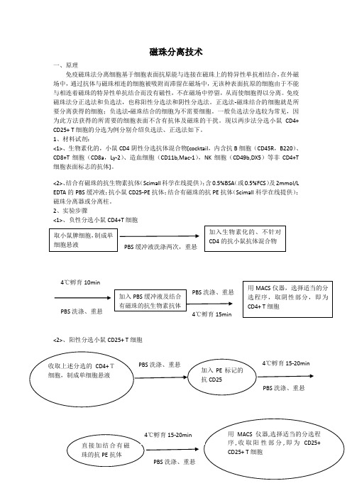 免疫磁珠分离技术