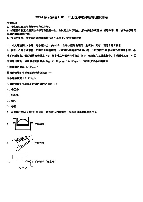 2024届安徽省蚌埠市淮上区中考押题物理预测卷含解析