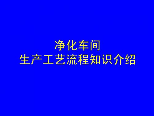 最新合成氨净化车间全厂流程、原理、设备及操作