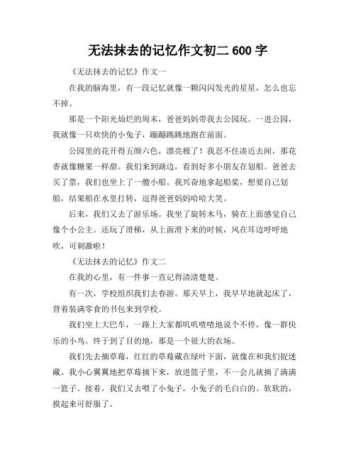 无法抹去的记忆作文初二600字