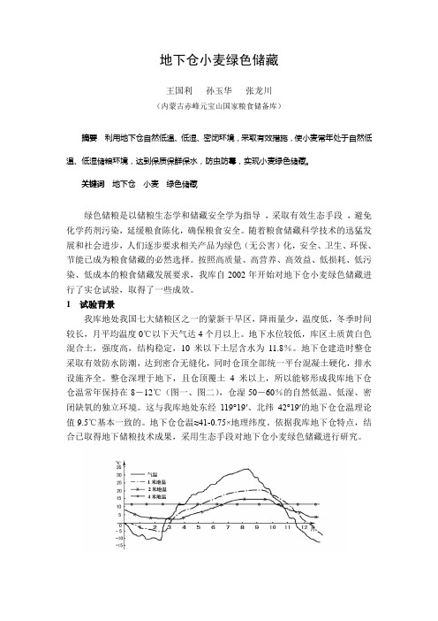 地下仓小麦绿色储藏