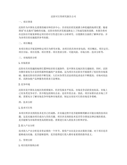 沈阳可行性研究报告公司