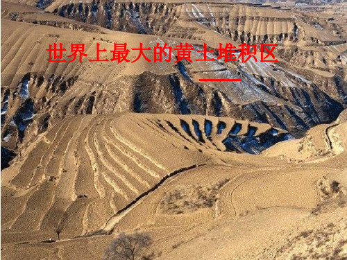 人教版八年级下册地理《第三节 世界最大的黄土堆积区——黄土高原》课件ppt