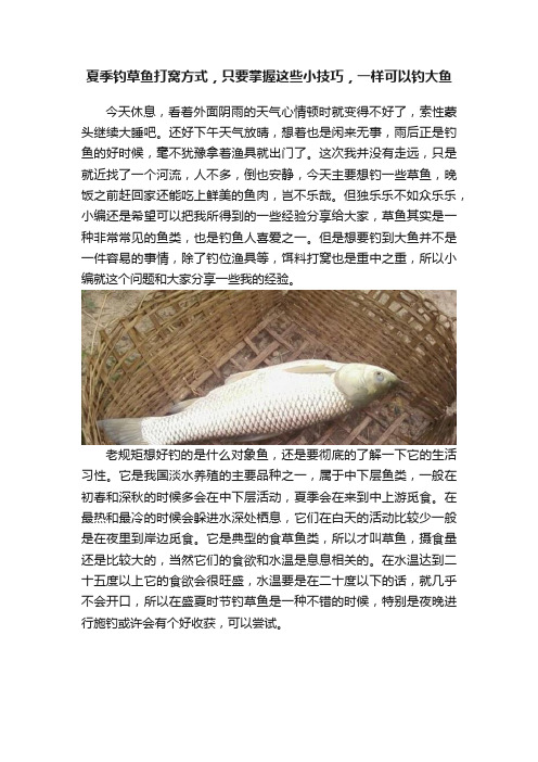 夏季钓草鱼打窝方式，只要掌握这些小技巧，一样可以钓大鱼