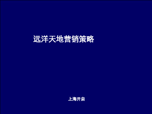 2009辽宁沈阳远洋天地项目年度营销策略方案