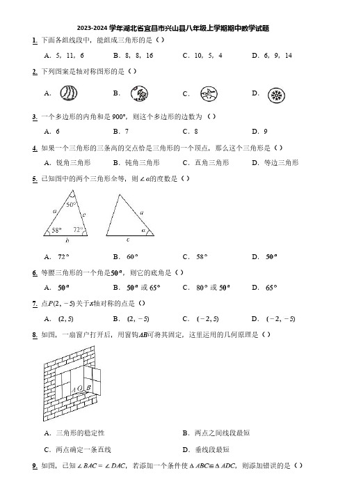 2023-2024学年湖北省宜昌市兴山县八年级上学期期中数学试题