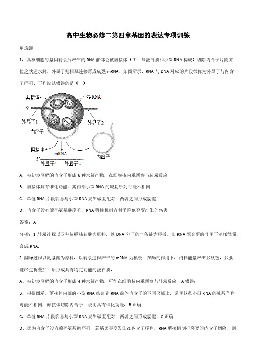 高中生物必修二第四章基因的表达专项训练(带答案)