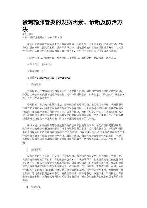 蛋鸡输卵管炎的发病因素、诊断及防治方法