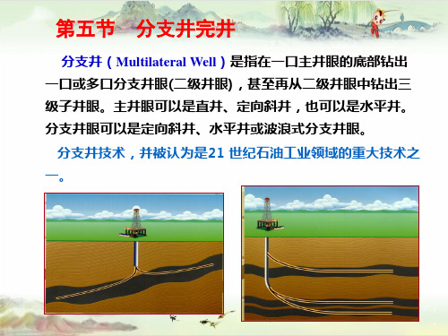 【现代完井技术】完井技术_分支井和膨胀管完井