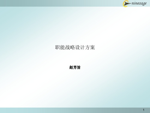 (精品文档)职能战略设计方案1222