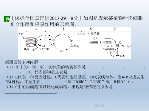 【学习方案】2020高考生物二轮复习第4章细胞代谢课件_2_16-20