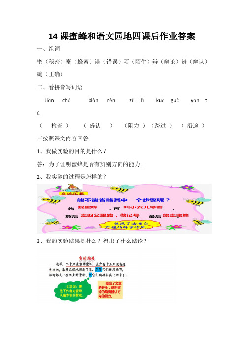 部编人教版三年级语文下册14课蜜蜂和语文园地四课后作业 答案