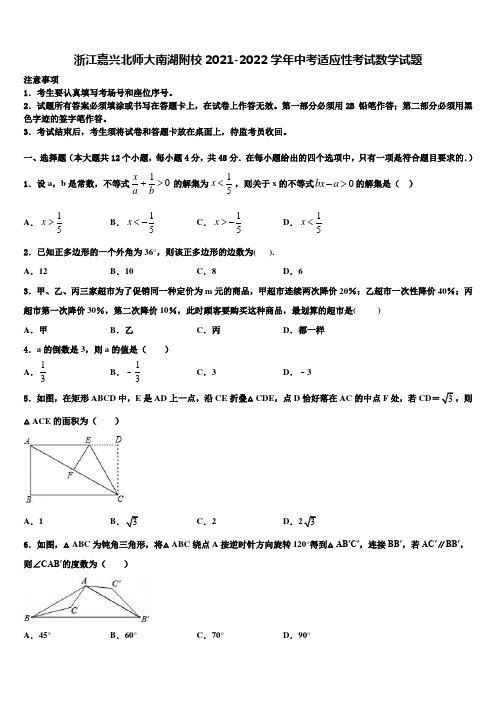 浙江嘉兴北师大南湖附校2021-2022学年中考适应性考试数学试题含解析