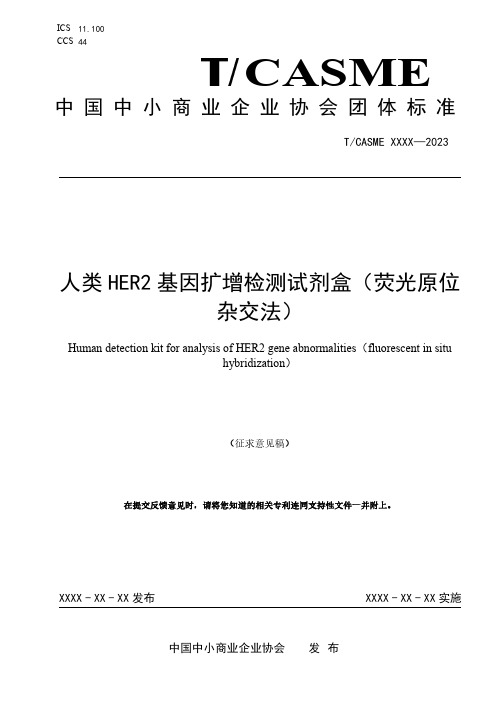 人类HER2基因扩增检测试剂盒说明书