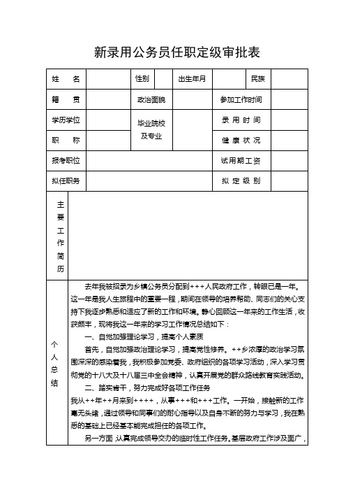 任职定级审批表