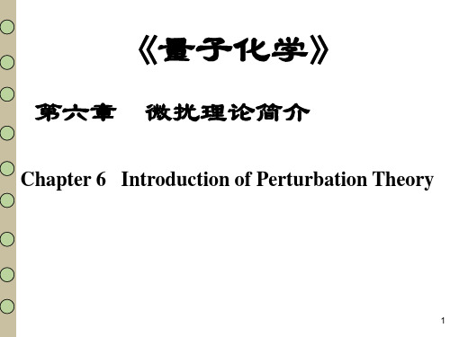 第六章 微扰理论简介