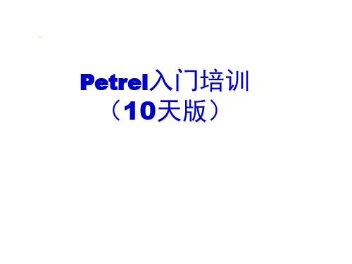 Petrel 课程PPT超全