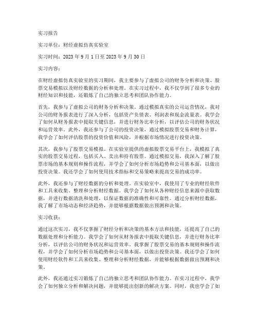 财经虚拟仿真的实习报告