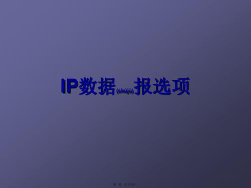 IP数据报选项(共15张PPT)