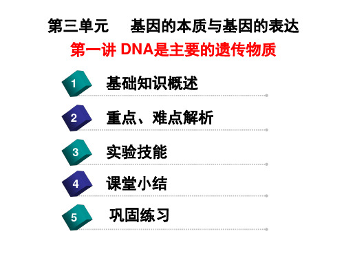 人教新课标高中生物必修二  3.1DNA是主要的遗传物质 课件(共28张PPT)