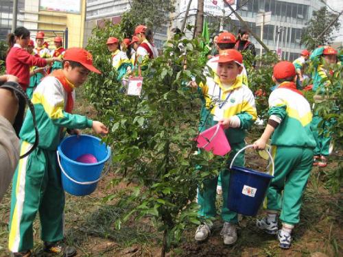 四年级数学植树问题