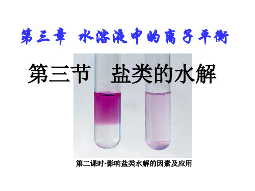 盐类水解演示课件人教版PPT