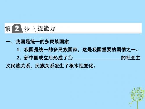 高考政治政治生活专题七发展社会主义民主政治考点29我国的民族区域自治制度及宗教政策课件新人教版