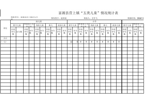 31“五类儿童”登记统计表